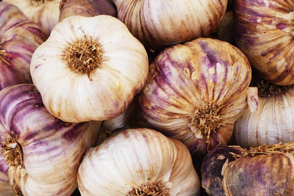 5 Health Benefits of Garlic, Nick Fewings, Unsplash