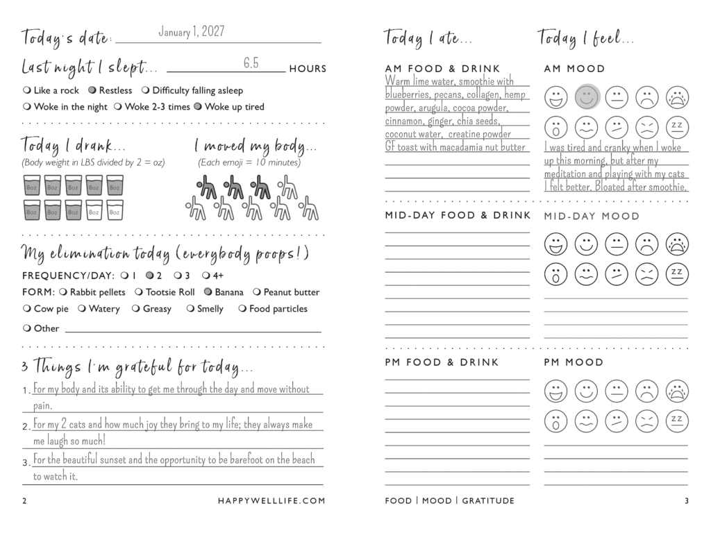 Food, Mood, Gratitude Journal, 2nd Edition