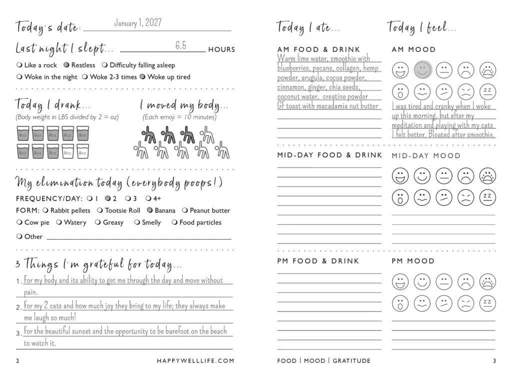 Food, Mood, Gratitude Journal, 2nd Edition