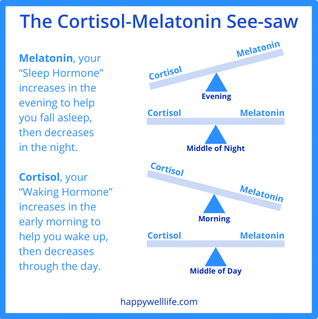 cortisol-melatonin see-saw